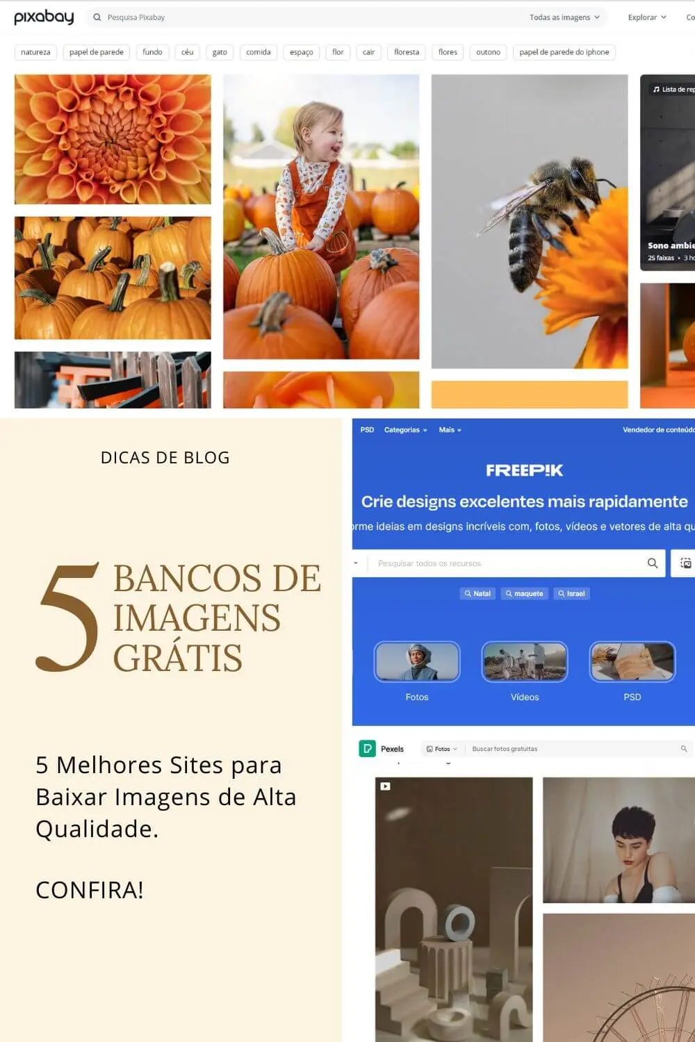 5 Bancos de Imagens Grátis